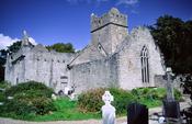 Muckross Abbey, Killarney National Park, Co Kerry, Ireland.