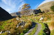 Black Valley, County Kerry, Ireland.