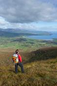 Walker looking across the Dingle Peninsula from Eagle Mountain, County Kerry, Ireland.