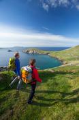 Walkers on the Dingle Way above Slea Head, Dingle Peninsula, County Kerry, Ireland.