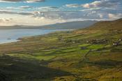 Green fields beside Ballinskelligs Bay, County Kerry, Ireland. image