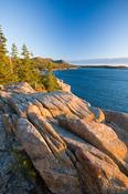 Evening coastline, Acadia National Park, Maine, New England, USA. image