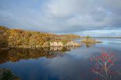Autumn colours on the shore of Lough Conn, Co Mayo, Ireland.