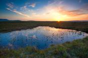 Bog pool sunset beneath the Nephin Beg Mountains, Ballycroy National Park, County Mayo, Ireland.
