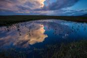Evening bog pool reflections, Ballycroy National Park, County Mayo, Ireland.