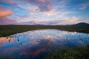 Bog pool reflection at sunset, Ballycroy National Park, County Mayo, Ireland. image