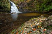 Autumn at Tourmakeady Falls, Tourmakeady Woods, County Mayo, Ireland.
