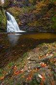 Autumn at Tourmakeady Falls, Tourmakeady Woods, County Mayo, Ireland.