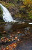 Autumn at Tourmakeady Falls, Tourmakeady Woods, County Mayo, Ireland.