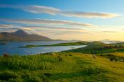 Sheep grazing beneath Croagh Patrick on the shore of Clew Bay, County Mayo, Ireland.