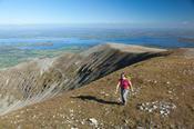 Walker approaching the summit of Nephin, County Mayo, Ireland.