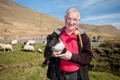 Hill farmer Michael Laffey with his flock, Maam Valley, County Mayo, Ireland.