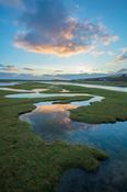 Reflection of evening sky in saltmarsh at high tide, Mulranny, County Mayo, Ireland. image