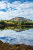 Autumn reflection of Nephin Beg Mountain in Lough na Brock. Wild Nephin Wilderness Area, Ballycroy National Park, County Mayo, Ireland. image