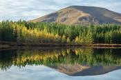 Autumn reflection of Nephin Beg Mountain in Lough na Brock. Wild Nephin Wilderness Area, Ballycroy National Park, County Mayo, Ireland. image