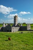 The stone ruins of 15th century Moyne Abbey, County Mayo, Ireland.