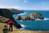 Walker on the North Mayo Seacliffs, near Carrowteige, Co Mayo, Ireland.
