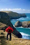 Walker on the North Mayo Seacliffs, near Carrowteige, Co Mayo, Ireland. image