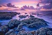 Sunset over lichen-covered coastline, Ballycroy, Co Mayo, Ireland. image
