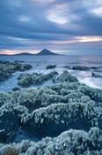 Lichen-covered coastline, Ballycroy, Co Mayo, Ireland. image