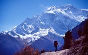 Trekker on the high route to Manang, Annapurna Circuit, Nepal.