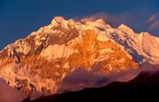Evening light on Annapurna I, Nepal Himalaya. image