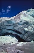 Teminal face of Fox Glacier, Westland National Park, South Island, New Zealand. image