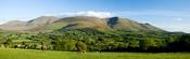 Horse and foal in the Glen of Aherlow, Galtee Mountains, Co Tipperary, Ireland.