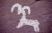 Petroglyph of bighorn sheep left by Ute Indians, Arches National Park, Utah, USA. image