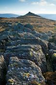 Conglomerate rock, Knockanaffrin Ridge, Comeragh Mountains, Co Waterford, Ireland.