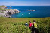 Walkers on Great Saltee Island, County Waterford, Ireland.