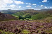 The Cloghoge valley and Wicklow Mountains, Co Wicklow, Ireland. image