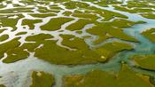 Aerial view of the tidal saltmarsh at Mulranny, County Mayo, Ireland.