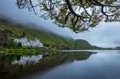 Under the oak, Kylemore Abbey, Connemara, County Galway, Ireland.