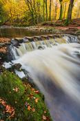 Stepping stones on the Shimna River, Tollymore Forest Park, Mourne Mountains, County Down, Northern Ireland.