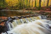 Stepping stones on the Shimna River, Tollymore Forest Park, Mourne Mountains, County Down, Northern Ireland.