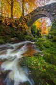 Foley's Bridge in autumn, Tollymore Forest Park, Mourne Mountains, County Down, Northern Ireland. image