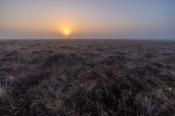 Sunrise, Clara Bog, County Offaly, Ireland.