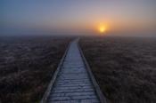 Sunrise over the boardwalk, Clara Bog, County Offaly, Ireland.