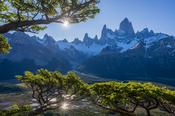 Monte Fitzroy seen through lenga trees, Los Glaciares National Park, Patagonia, Argentina.