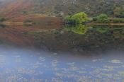 Gougane Barra, County Cork, Ireland.