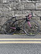 Pre-Loved 2019 Colnago CLD Limited Edition - Size 52cm