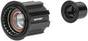 Bontrager 2023 DT240 Campagnolo N3W Freehub Body image