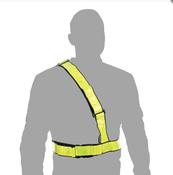 Oxford Bright Belt