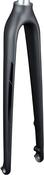Trek FX Sport 6 700c Disc Rigid Fork image