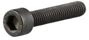 Trek Allant+ 9.9 Stem Cap Bolt