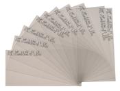 4 1/4" x 2" Clear Lens