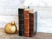Old French Books for Deco