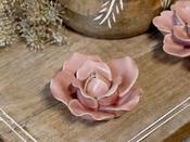 Rose for Deco H4.5 image
