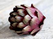 Fleur Artichoke image